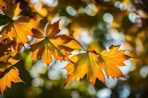 outono folhas de Jason Kim. gerado por IA foto