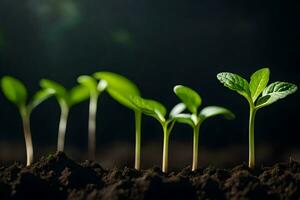 jovem plantas brotando a partir de a solo. gerado por IA foto