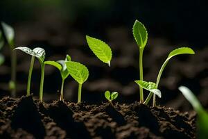 jovem plantas brotando a partir de a solo. gerado por IA foto