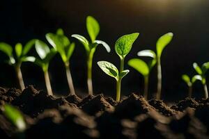 jovem plantas brotando a partir de a solo. gerado por IA foto