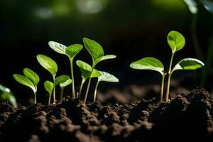 jovem plantas brotando a partir de a solo. gerado por IA foto