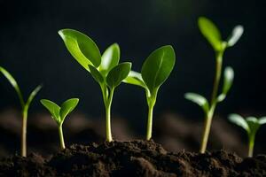 jovem plantas brotando a partir de a solo. gerado por IA foto