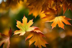 outono folhas, outono, outono folhas, outono folhas, outono folhas papel de parede, outono folhas papel de parede. gerado por IA foto