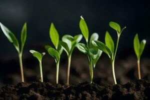 uma grupo do jovem plantas crescendo dentro a solo. gerado por IA foto