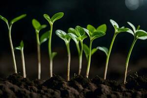 uma grupo do jovem plantas crescendo dentro a solo. gerado por IA foto