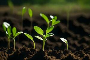 uma grupo do jovem plantas crescendo dentro a sujeira. gerado por IA foto