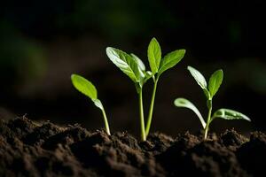 três jovem plantas crescendo dentro a solo. gerado por IA foto