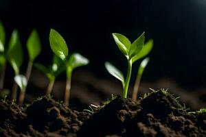 uma grupo do jovem plantas crescendo dentro a sujeira. gerado por IA foto