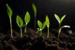 uma grupo do jovem plantas crescendo dentro a sujeira. gerado por IA foto