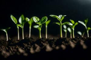 jovem plantas brotando a partir de a solo. gerado por IA foto