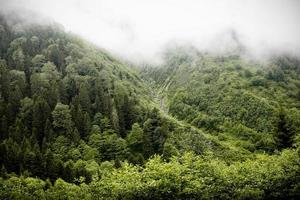 mar negro, vila rize cat creek, turquia, vista foto