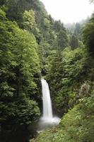 rize camlihemsin palovit falls, peru, vista da cachoeira foto
