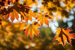 outono folhas dentro a luz solar. gerado por IA foto