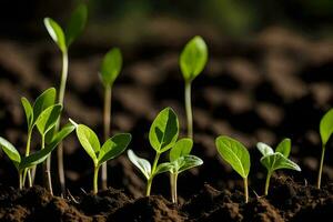 uma grupo do jovem plantas crescendo dentro a solo. gerado por IA foto