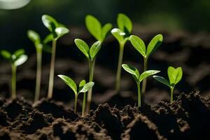 uma grupo do jovem plantas crescendo dentro a sujeira. gerado por IA foto