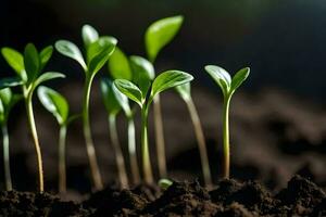 uma grupo do jovem plantas crescendo dentro a sujeira. gerado por IA foto