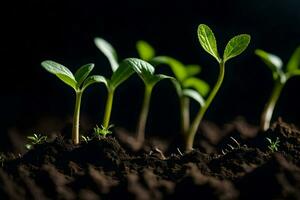 uma grupo do jovem plantas crescendo dentro a solo. gerado por IA foto