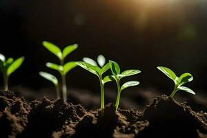 uma grupo do jovem plantas crescendo dentro a sujeira. gerado por IA foto