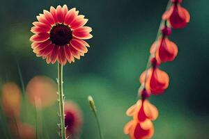 uma solteiro vermelho flor é em pé dentro a meio do uma campo. gerado por IA foto