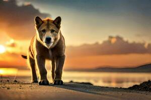 uma cachorro é em pé em a de praia às pôr do sol. gerado por IA foto