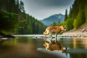 uma cachorro em pé dentro a água com Está reflexão. gerado por IA foto