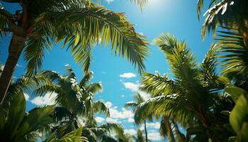 idílico verão Férias Palma árvores, azul céu, e tropical beleza gerado de ai foto