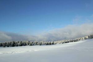 Jura montanha dentro inverno, Suíça foto