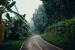 estrada e árvores dentro a manhã foto