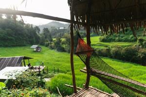 berço às a arroz campo Visão cabana foto