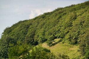 a maioria lindo britânico campo panorama às apontador badalos vale do Inglaterra Luton, Reino Unido. imagem estava capturado em Junho 24, 2023 foto