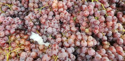 fresco delicioso vermelho uvas venda dentro a rua mercado foto