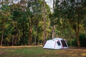 acampamento e barraca no parque natural foto