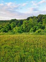 lindo baixo ângulo Visão do britânico panorama e campo foto