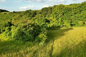 a maioria lindo britânico campo panorama às apontador badalos vale do Inglaterra Luton, Reino Unido. imagem estava capturado em Junho 24, 2023 foto