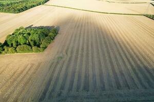 Alto ângulo cenas do britânico agrícola fazendas às campo panorama perto luton cidade do Inglaterra ótimo Grã-Bretanha do Reino Unido. cenas estava capturado com drones Câmera em agosto 19, 2023 foto
