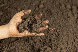 mão segurando solo preto para cultivar culturas conceito de dia mundial do solo foto