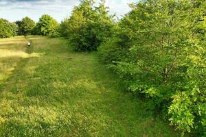 a maioria lindo britânico campo panorama às apontador badalos vale do Inglaterra Luton, Reino Unido. imagem estava capturado em Junho 24, 2023 foto