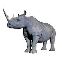 rinoceronte em pé - 3d render foto