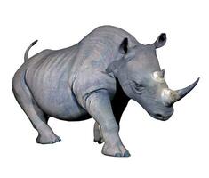 rinoceronte cobrando - 3d render foto