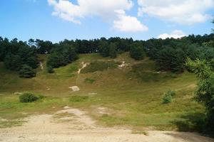 na reserva natural fischbeker heide próximo a hamburgo alemanha foto