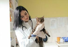 clínica veterinária. retrato de médica no hospital de animais segurando gato doente bonito foto