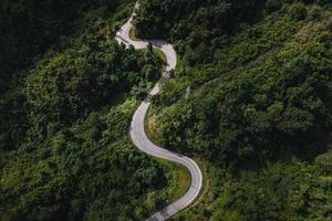 estrada da montanha e árvores verdes de cima foto