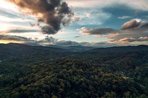 montanhas e floresta verde à noite foto