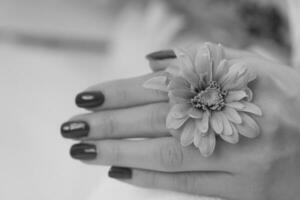 dedos de mulher com manicure francesa foto