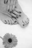 pés e mãos femininos no salão spa foto
