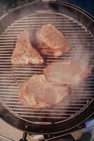 fechar-se foto do delicioso carne ser grelhado. dentro a fundo, amigos e família estão sentado e esperando para uma refeição