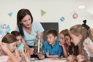 fêmea professor com crianças dentro biologia classe às elementar escola conduzindo biologia ou botânico científico experimentar sobre sustentável crescendo plantas. Aprendendo sobre plantas dentro uma vidro jarra foto