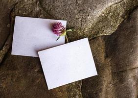 detalhes do casamento plana leigos. convite de casamento. brincar. trevo. foto