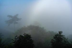 fenômenos naturais. fogbow ou arco-íris branco ocorrem acima da névoa. foto