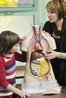 aprender biologia na escola foto